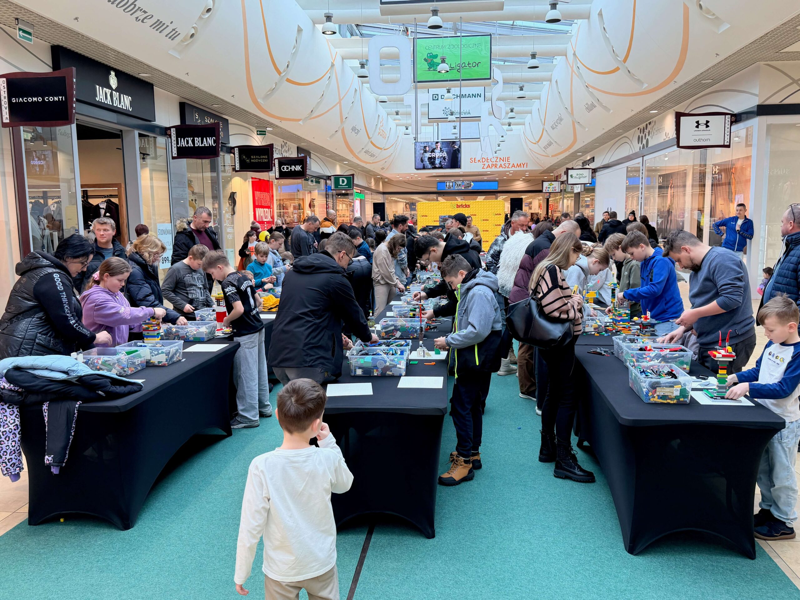 Tory wyścigowe i strefy budowania